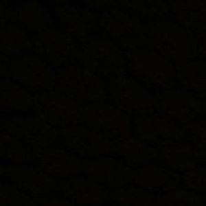 Meet your Posher, Tanya